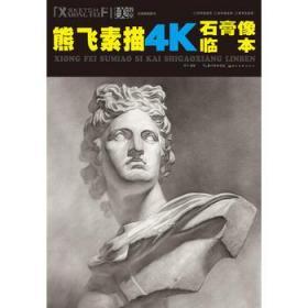 熊飞素描4k石膏像临本 美教室 熊飞五官练习写生结构范例明暗写生步骤