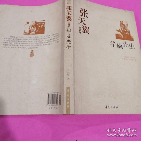 张天翼代表作:华威先生:中国现代文学百家
