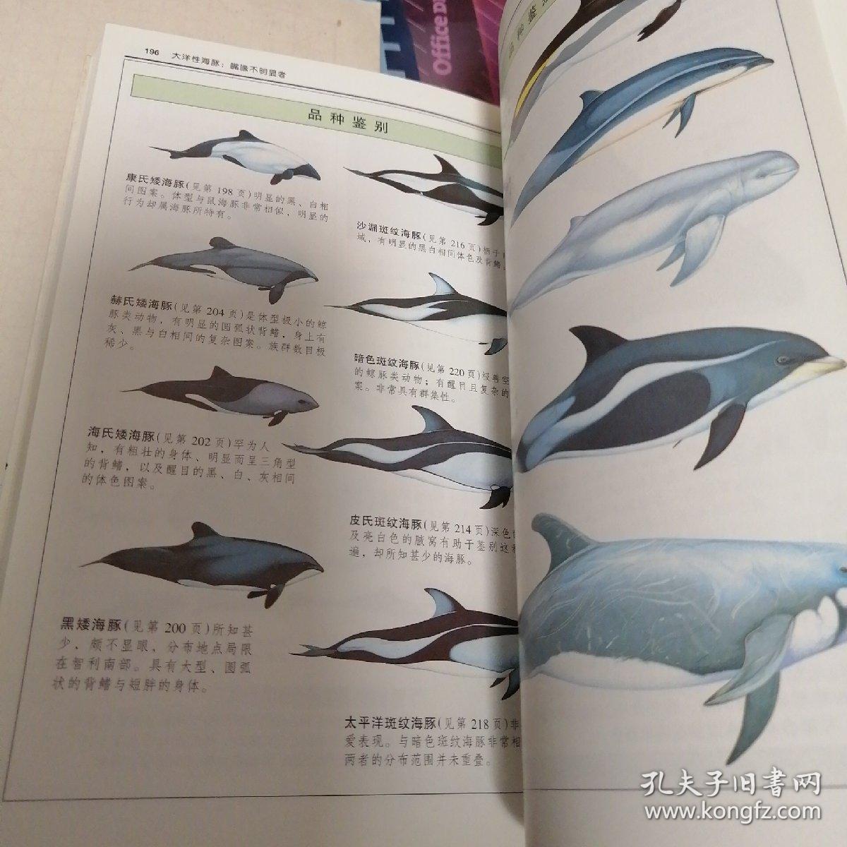 鲸与海豚:全世界79种鲸与海豚的彩色图鉴——自然珍藏图鉴丛书