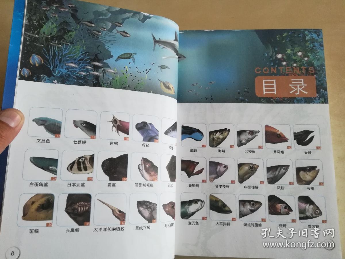 海洋动物图鉴