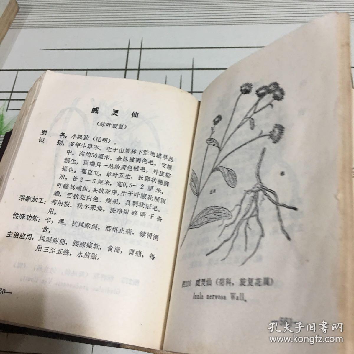 云南中草药