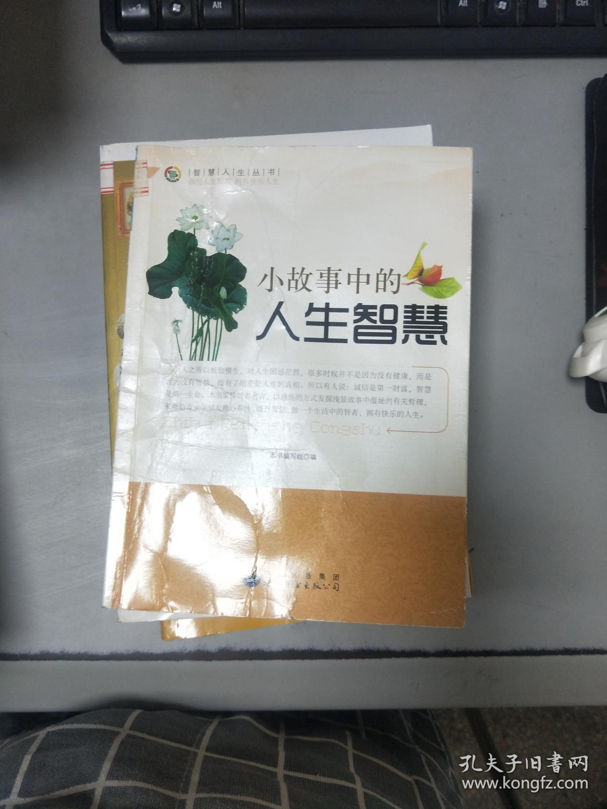 智慧人生丛书:小故事中的人生智慧,小故事中的成功智慧,智慧在成长 三