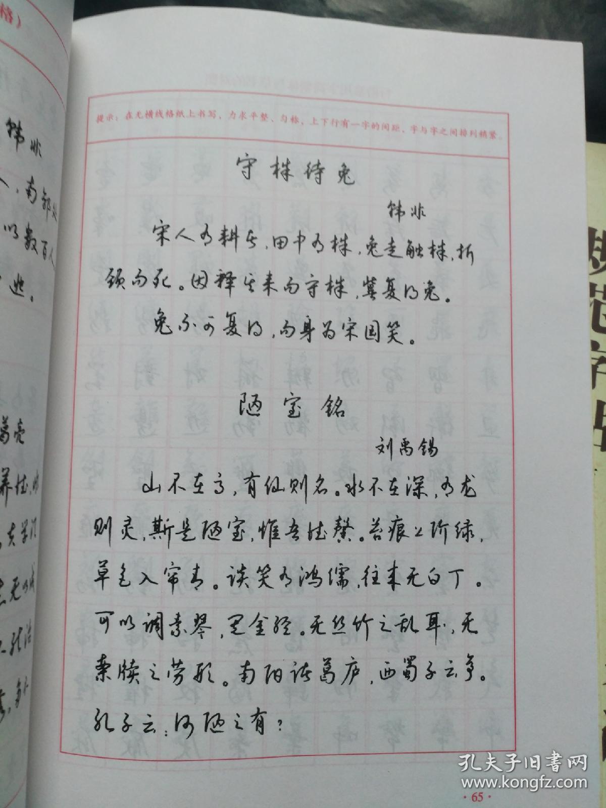 5310777a80677fb7_b.jpg