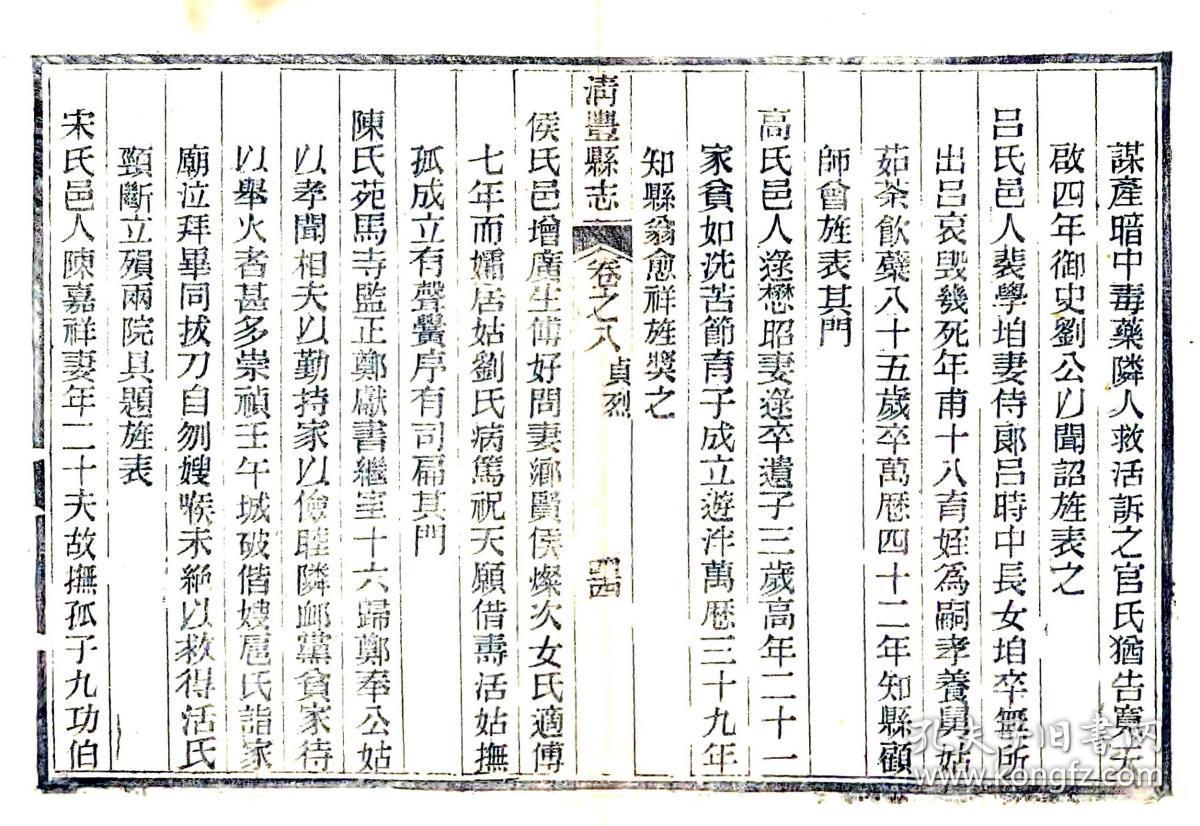 清丰县志(同治)复印本
