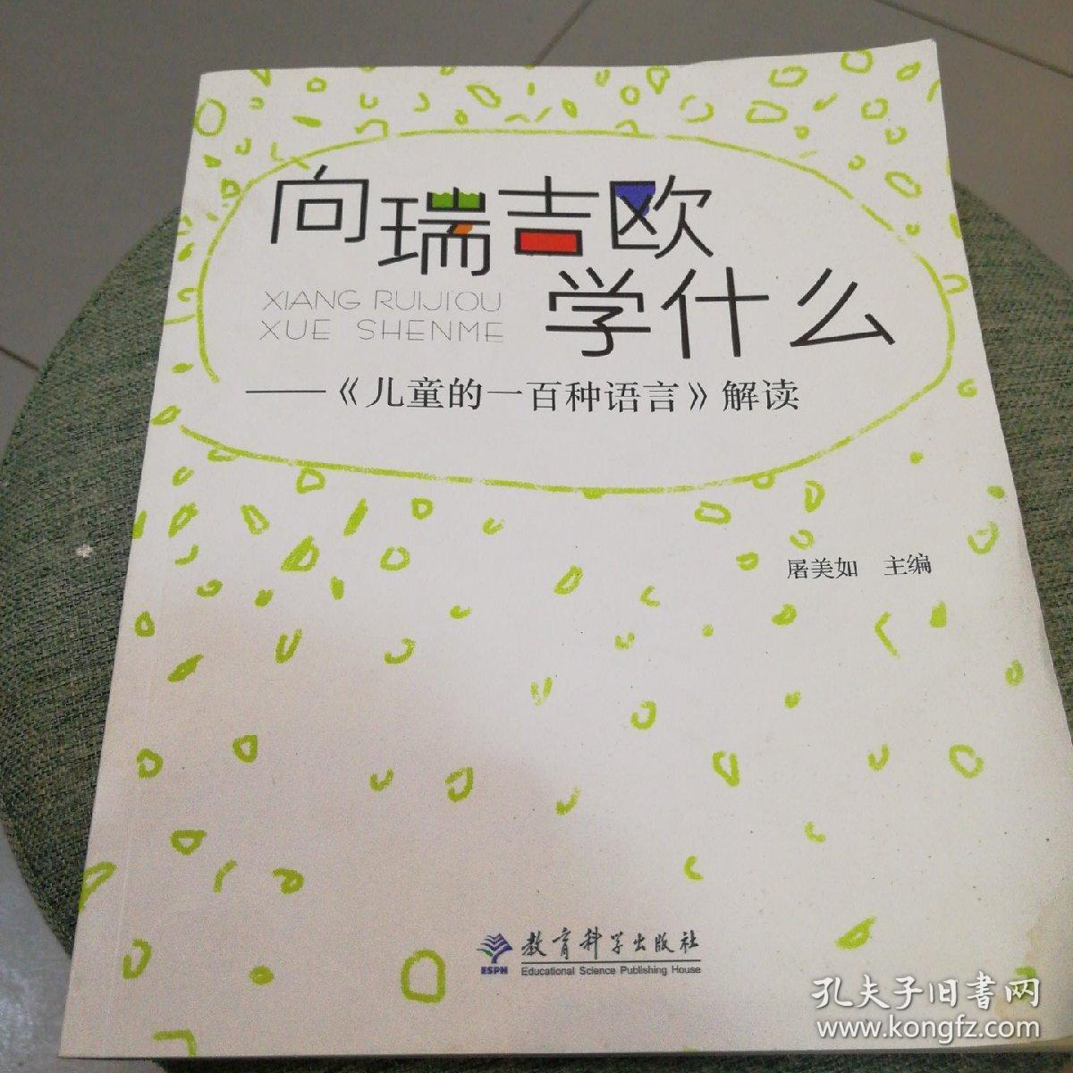 向瑞吉欧学什么:《儿童的一百种语言》解读