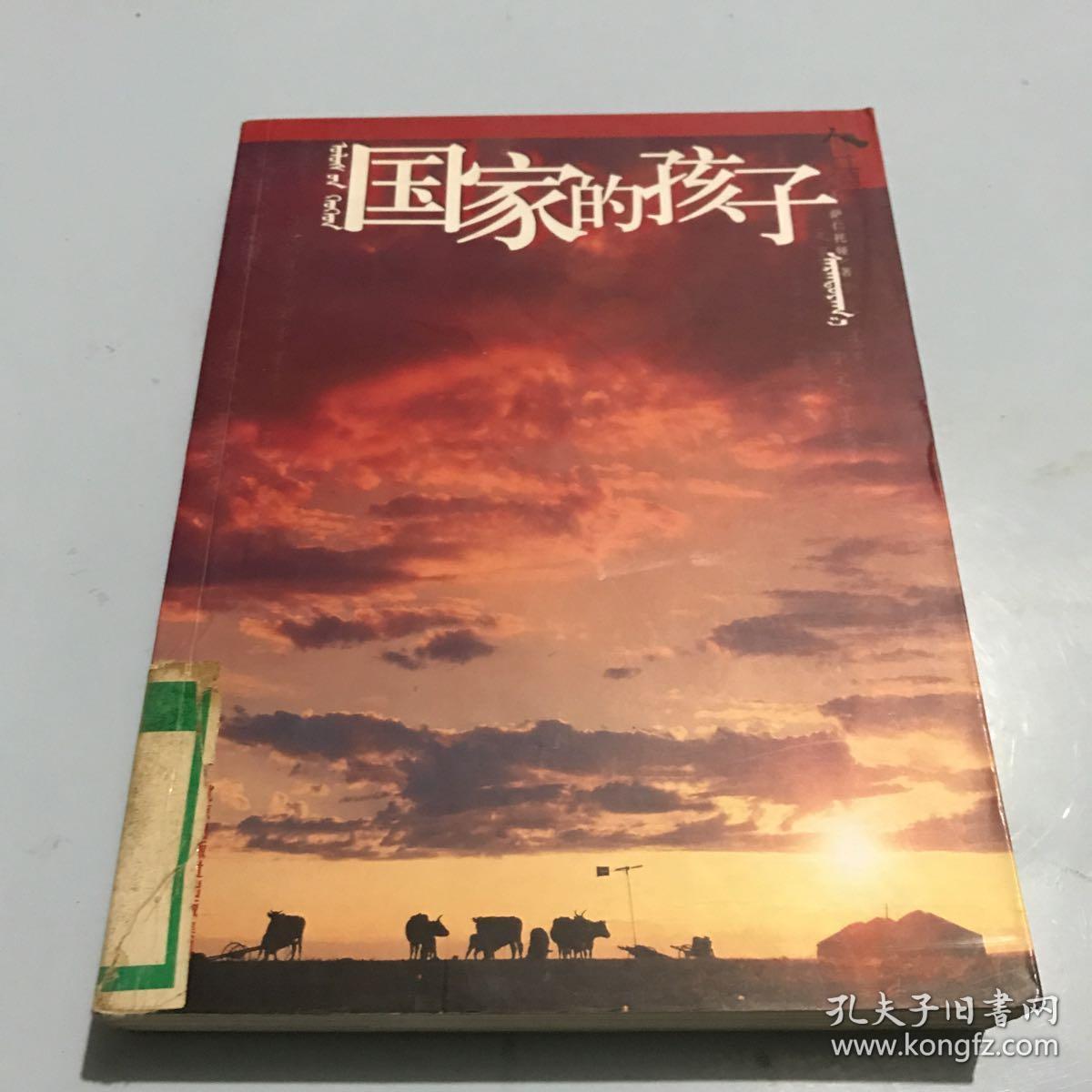 人生中国丛书:国家的孩子(馆藏)