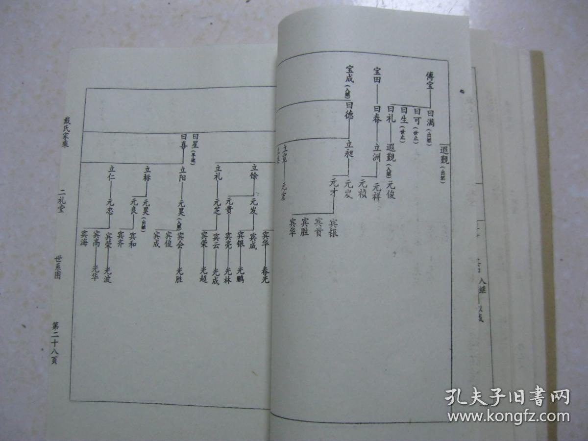 戴氏家乘(戴氏家谱,子造公支天经公世系史,江苏省阜宁
