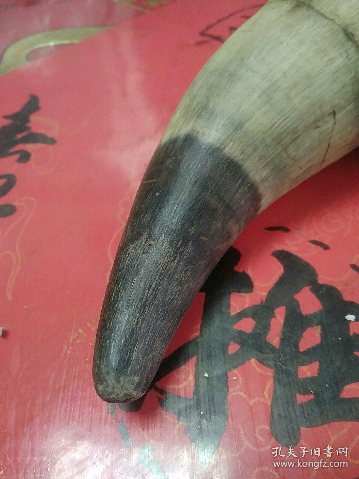 大个藏牛角一个收藏——老品二十年!可做摆件又可入药