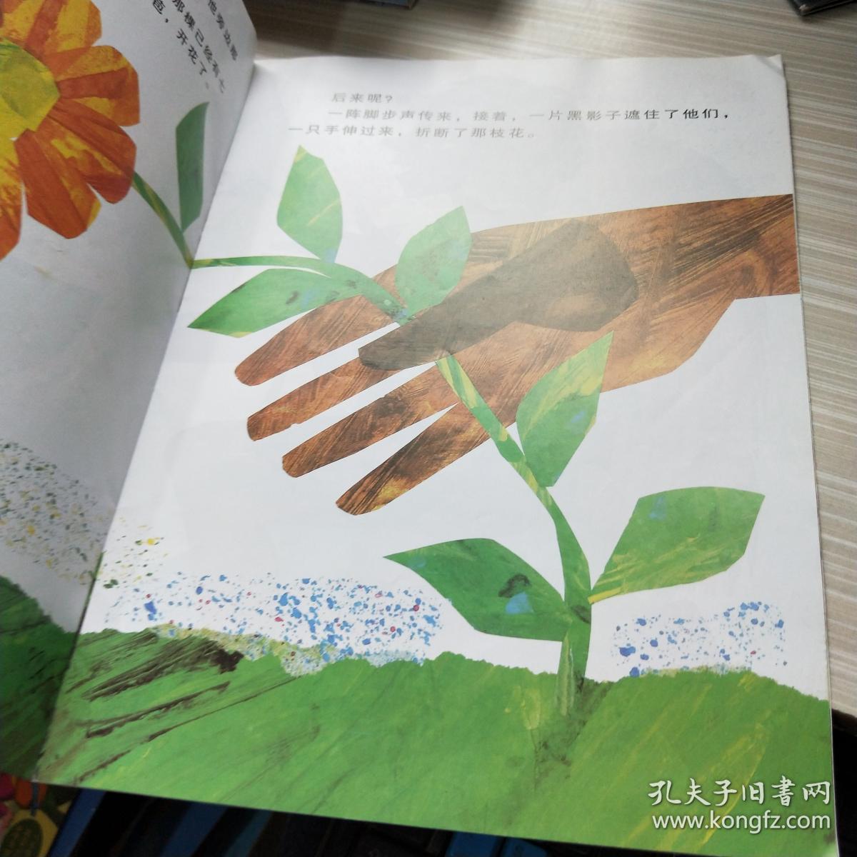 绘本 小种子