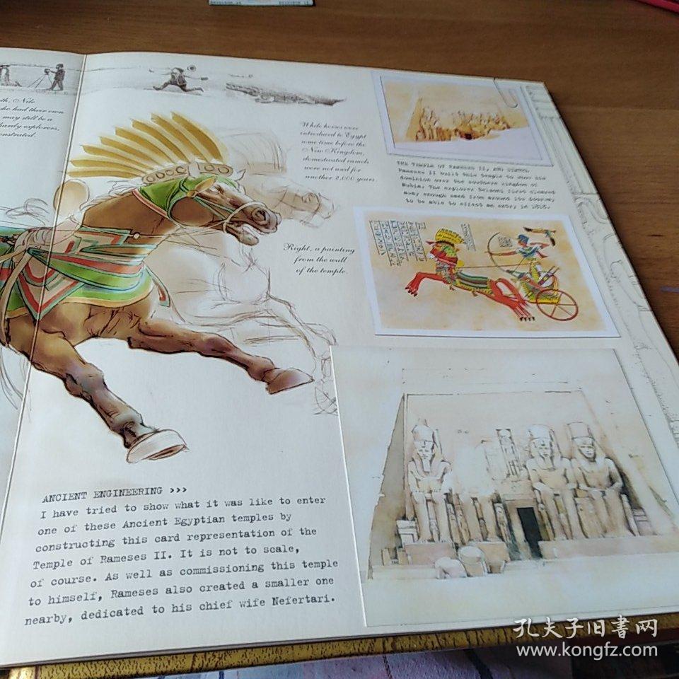 egyptology c