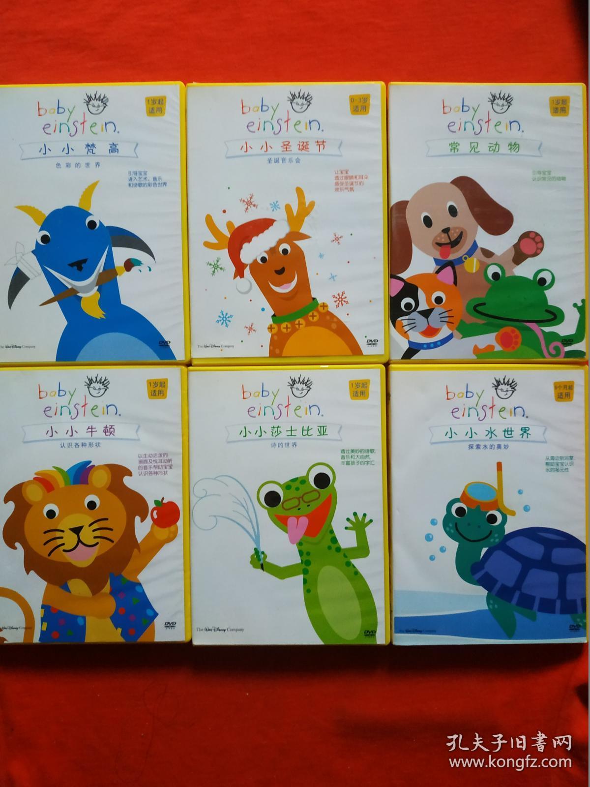 诗的世界小小圣诞节;圣诞音乐会,小小水世界;探索水的奥秘,常见动物