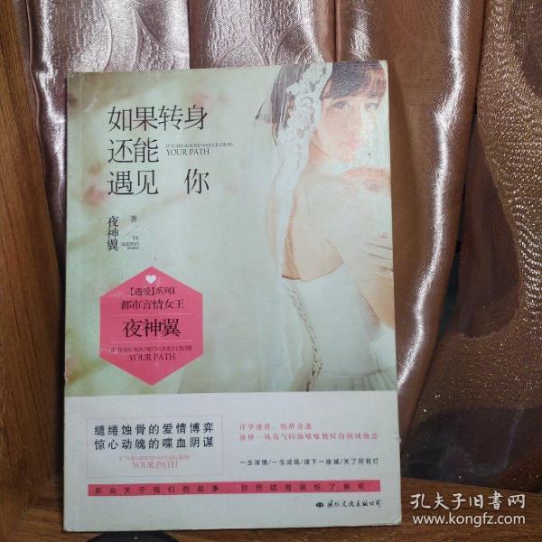 如果转身还能遇见你:盛大文学大神级作家,磨练了5年的作品终于出版了.