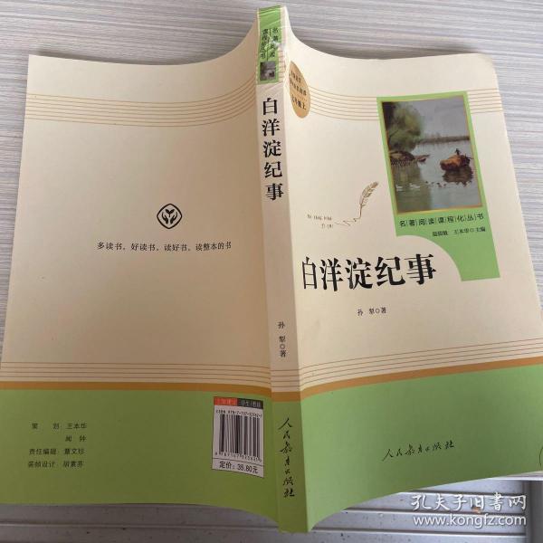 白洋淀纪事 名著阅读课程化丛书(统编语文教材配套阅读)七年级上