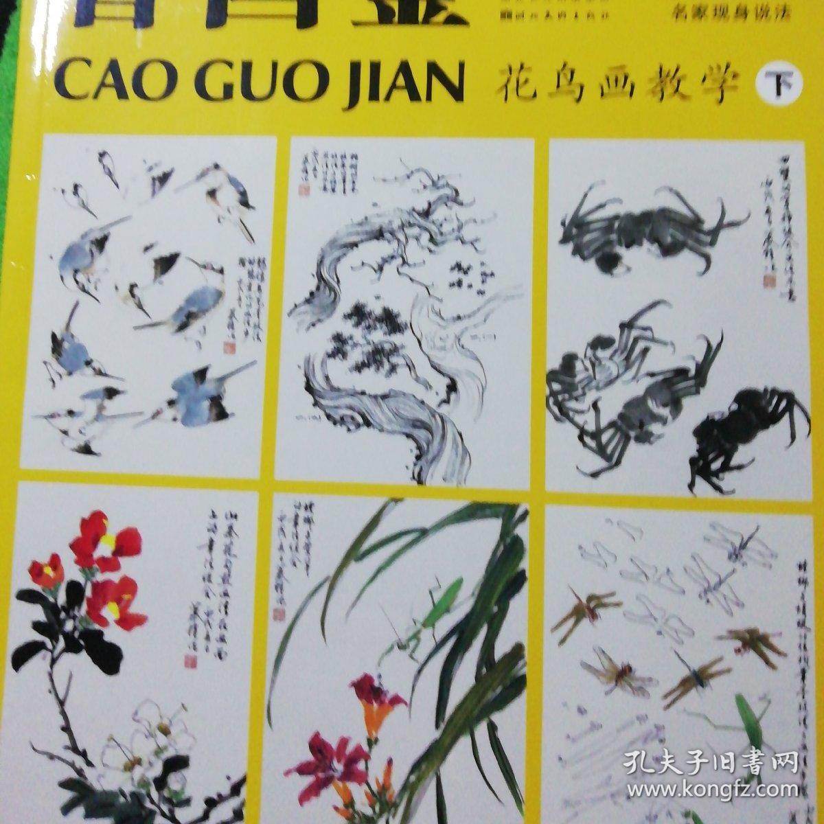 中国画教学范本精选 曹国鉴花鸟画教学(上下)合售