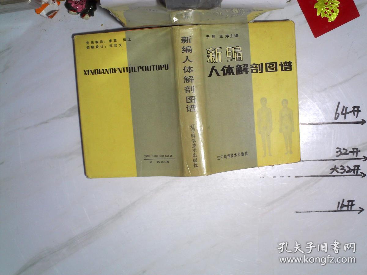 新编人体解刨图谱