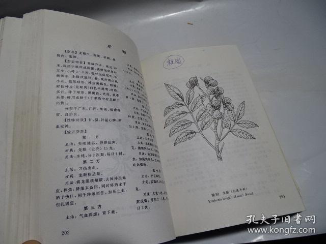 中国民间百草良方