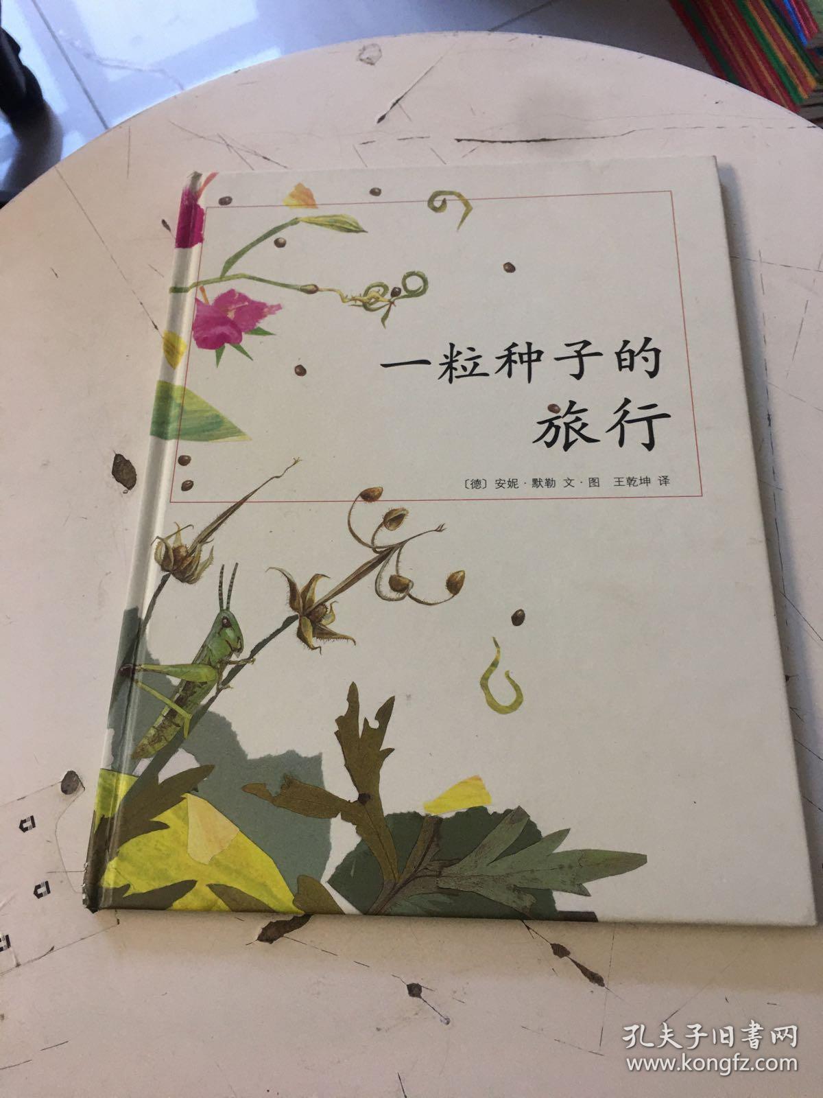 爱心树杰出科学绘本选:一粒种子的旅行(精装绘本)