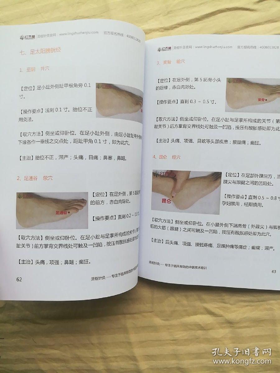 黄晓晨 灵枢针灸教材