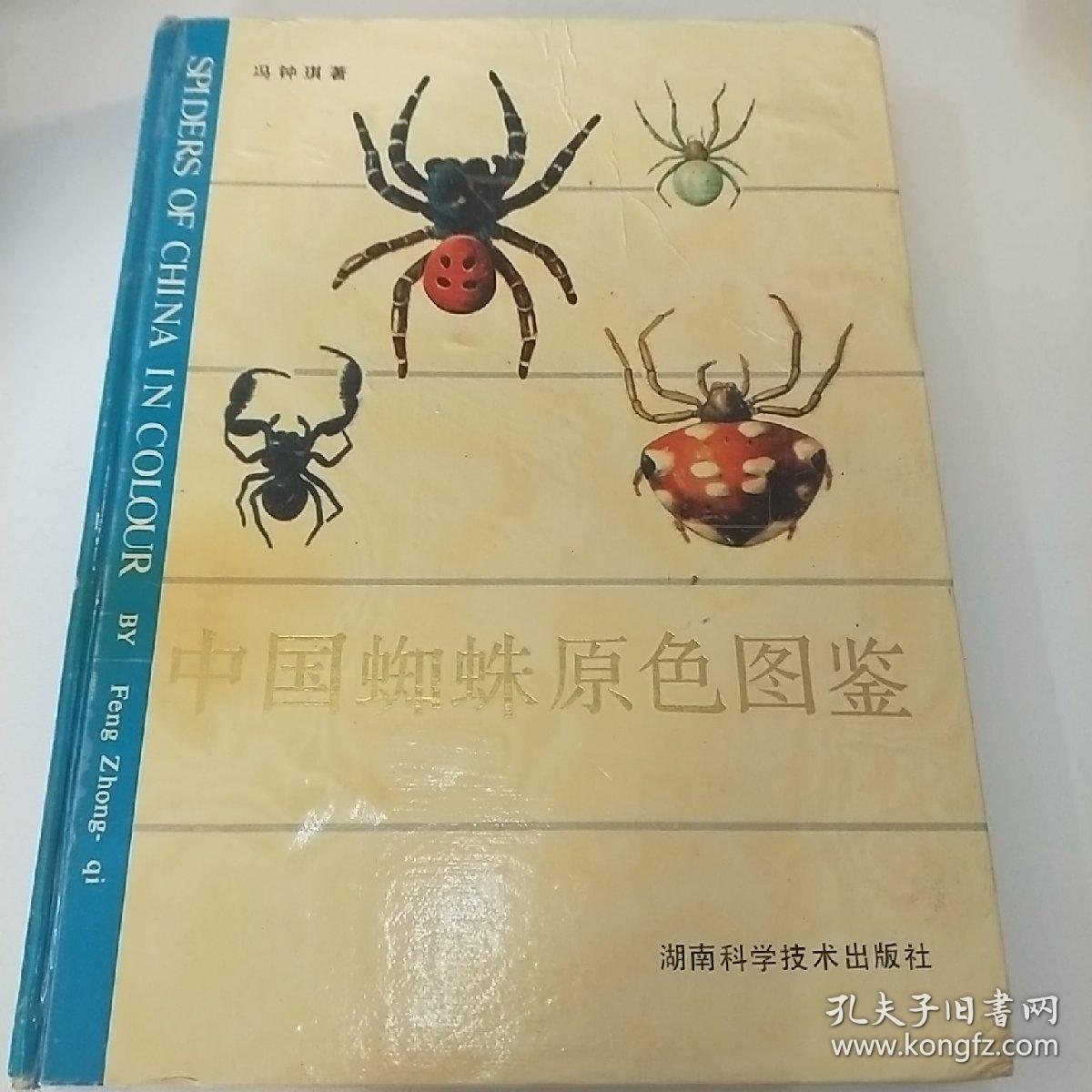 中国蜘蛛原色图鉴