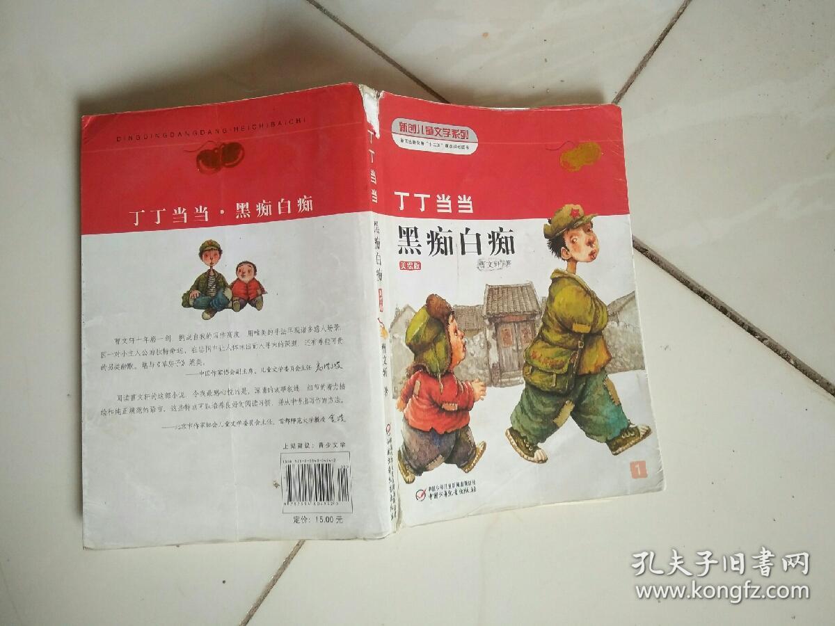 丁丁当当黑痴白痴-美绘版