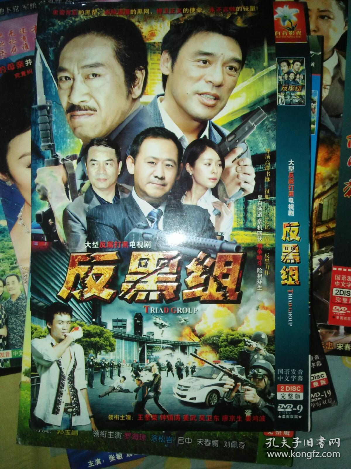 电视剧dvd简装2碟 反黑组 王奎荣钟镇涛姜武吴卫东廖京生姜鸿波