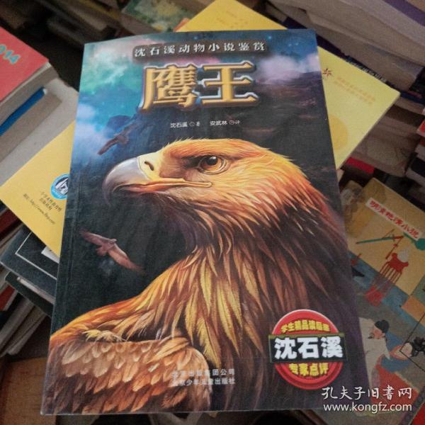 鹰王