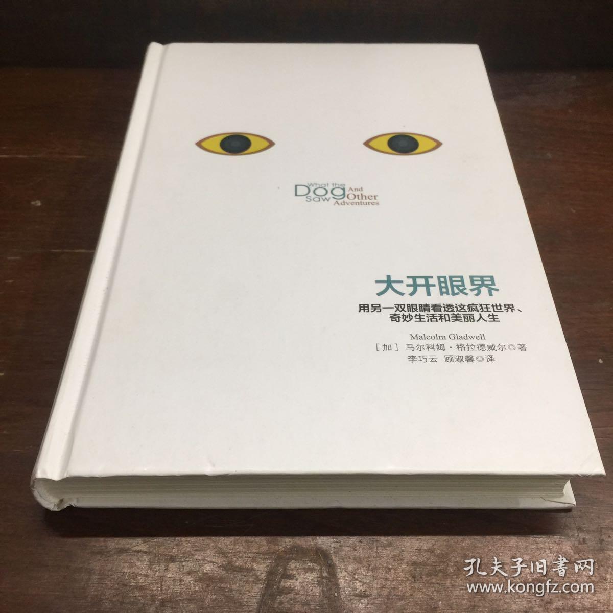 大开眼界:用另一双眼睛看透这疯狂世界,奇妙生活和美丽人生