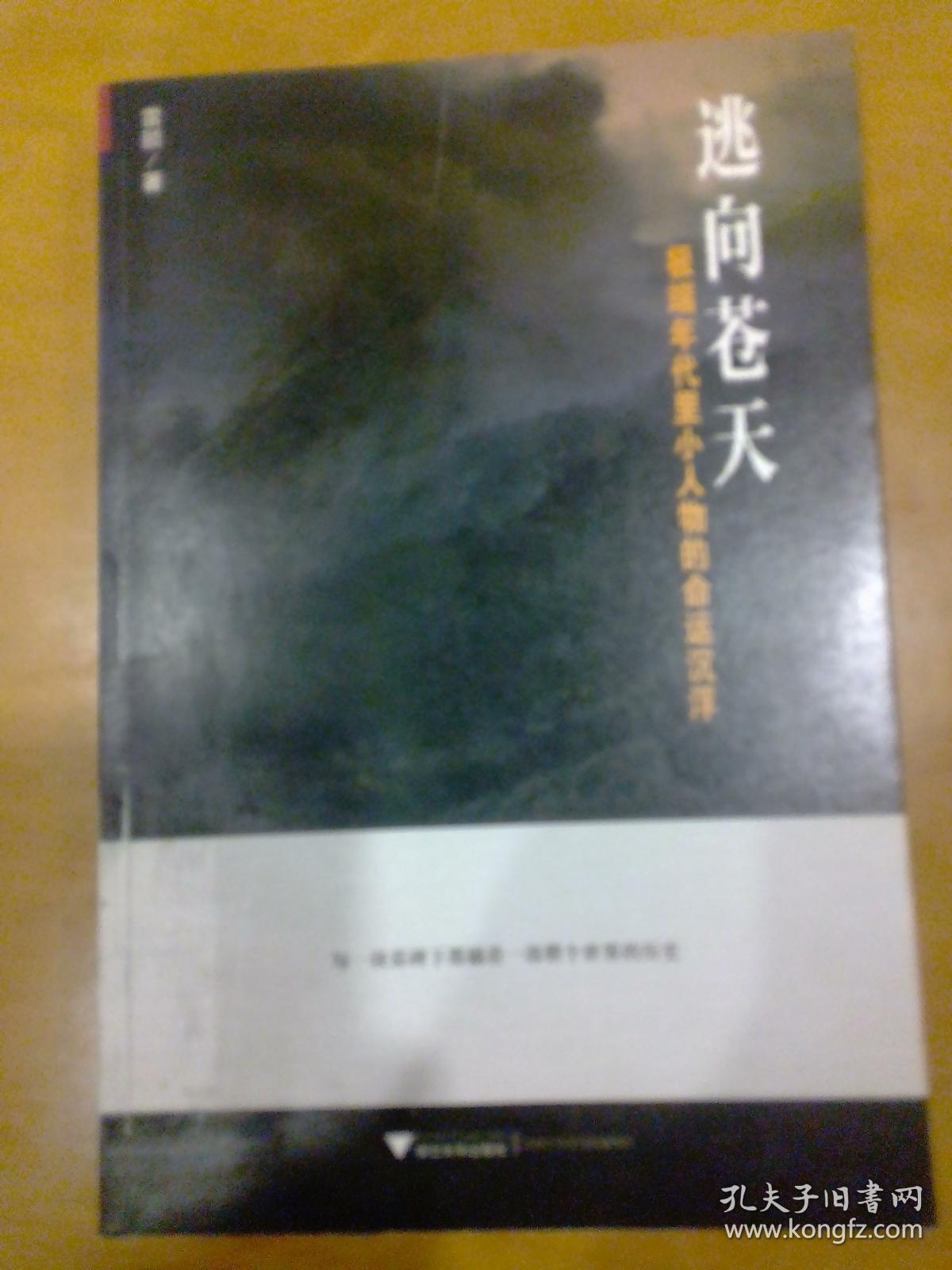 逃向苍天:极端年代里小人物的命运沉浮