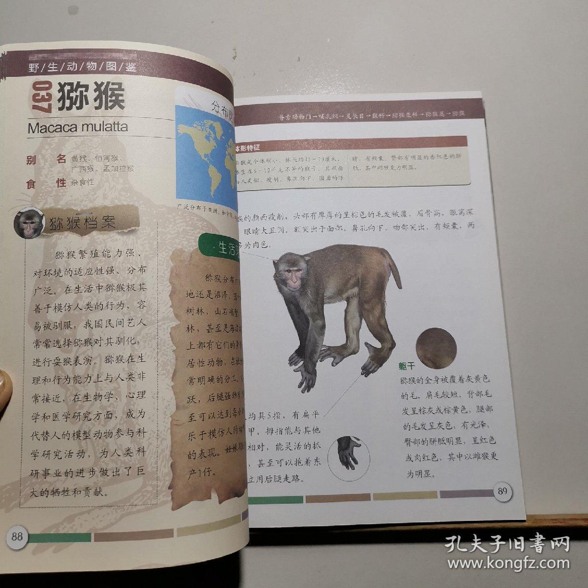 野生动物图鉴
