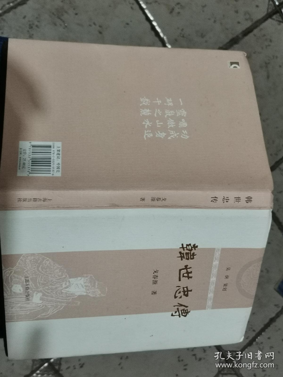 韩世忠传