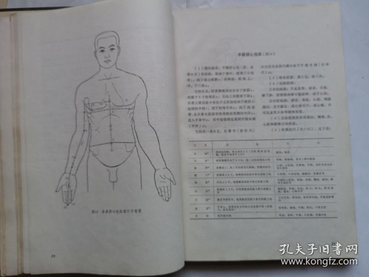 针灸穴位解剖图谱(精装一版一印)
