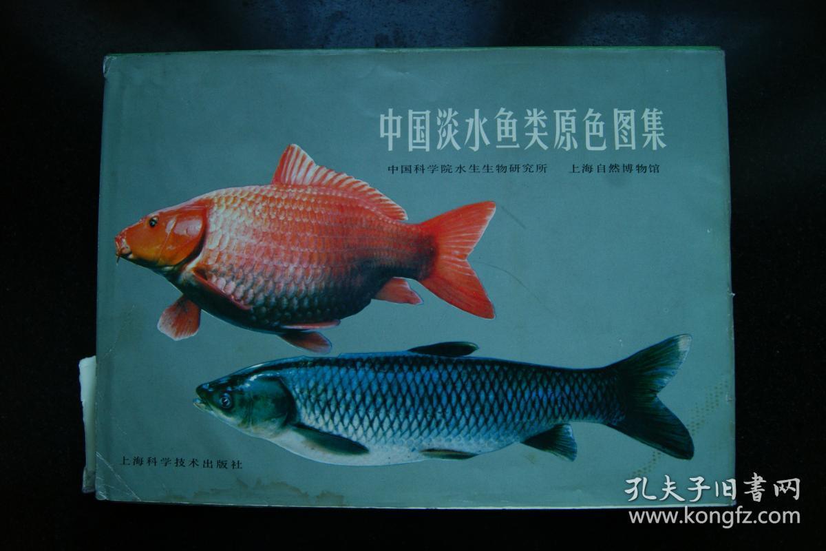 中国淡水鱼类原色图集【第一集】