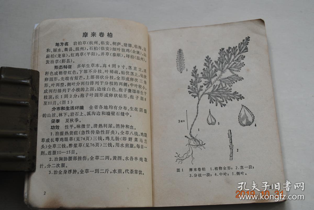 浙江民间常用草药(第一集)/【治疗病症索引(疔疮,疖毒,无名肿毒,乳腺