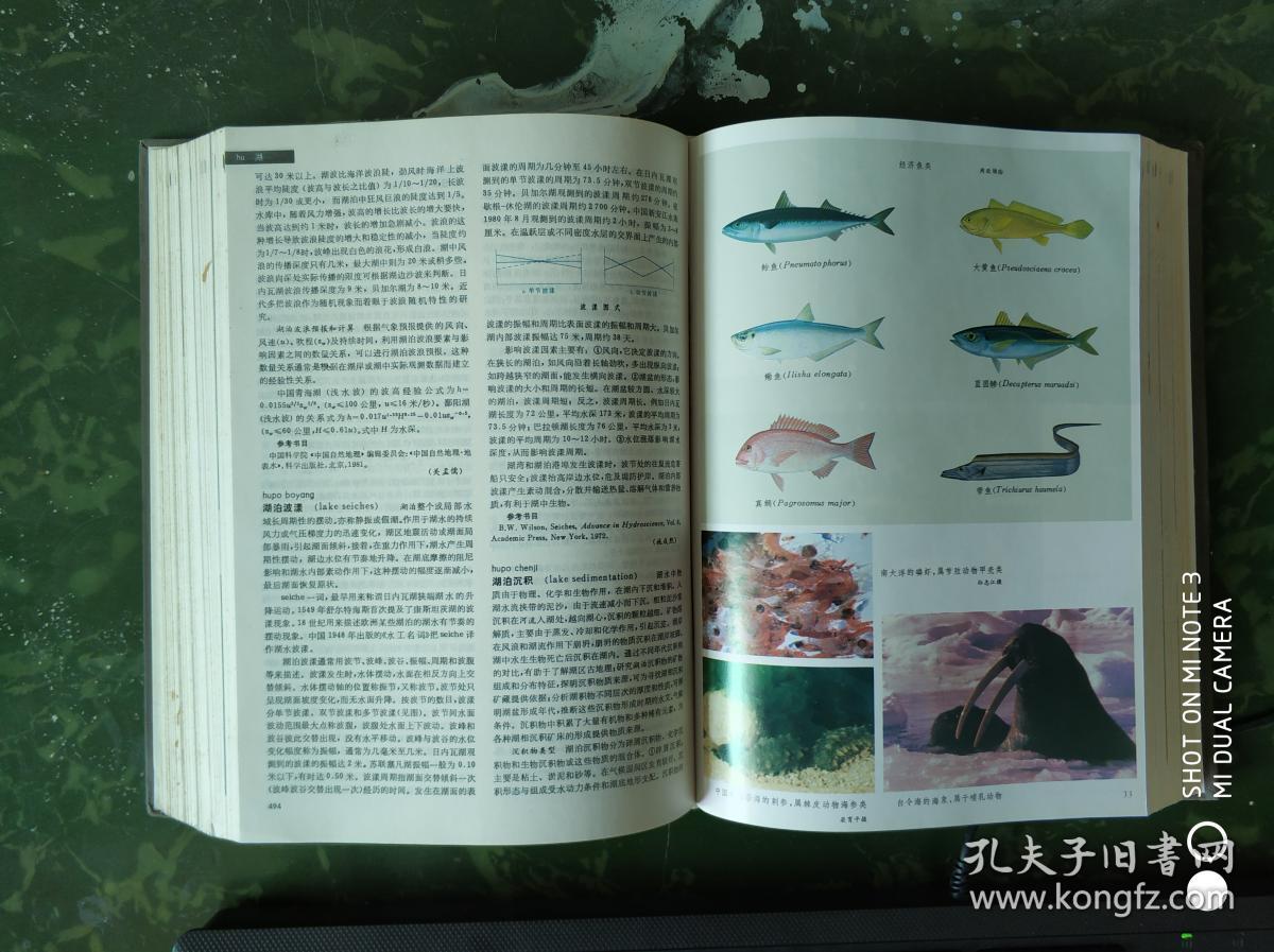 中国大百科全书 大气科学 海洋科学 水文科学