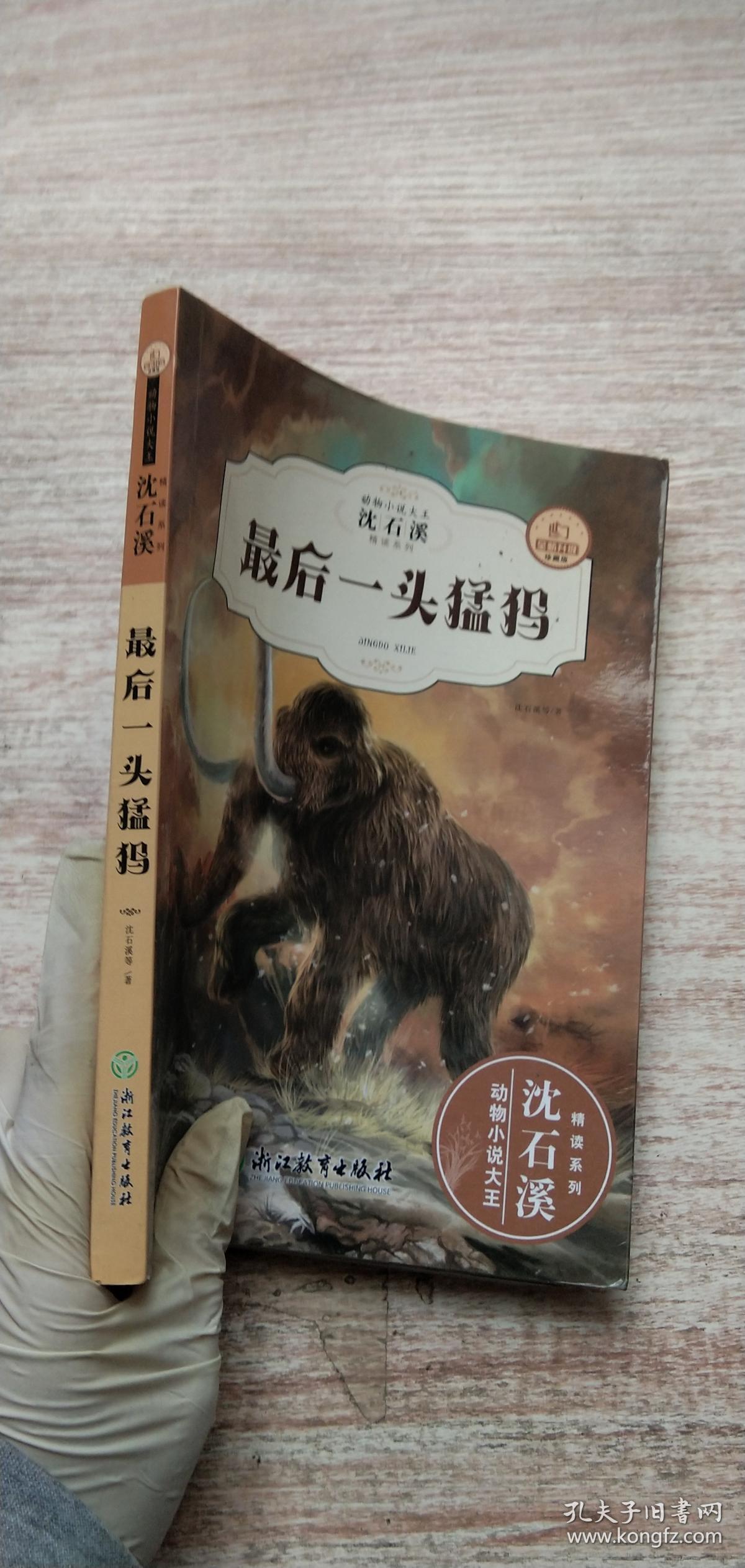 最后一头猛犸_沈石溪_孔夫子旧书网