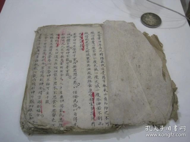 5b31d8eafdbb3117_b.jpg