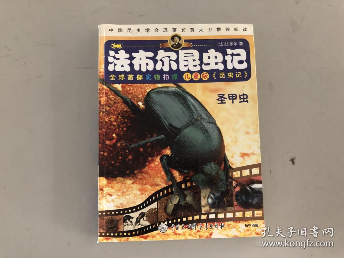 圣甲虫(儿童版)/法布尔昆虫记