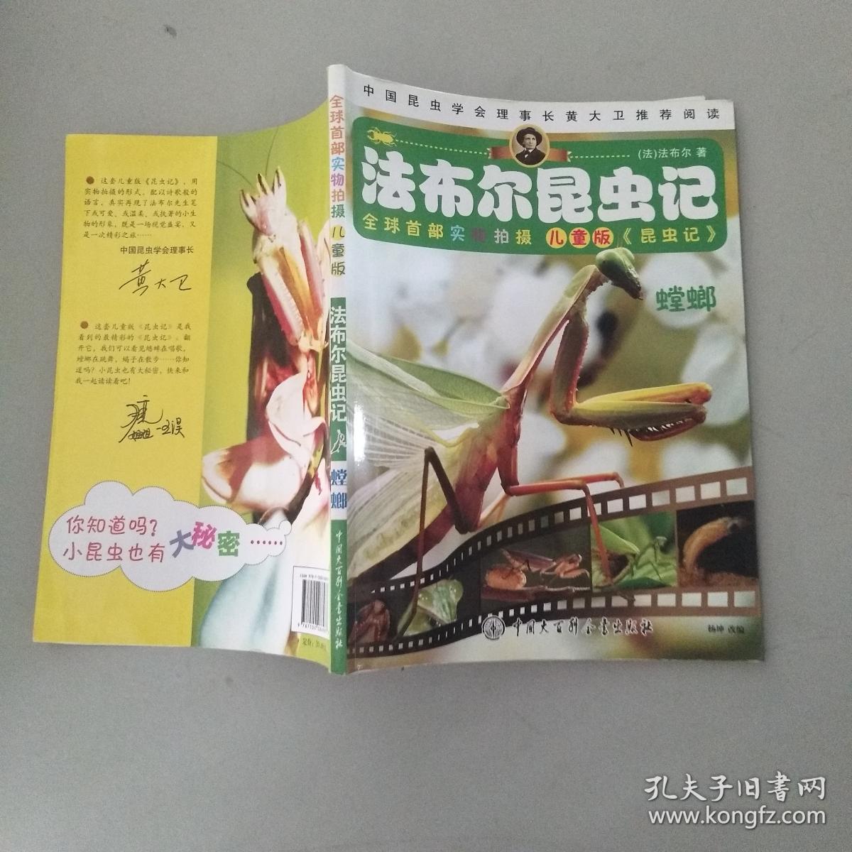 法布尔昆虫记:螳螂(儿童版)