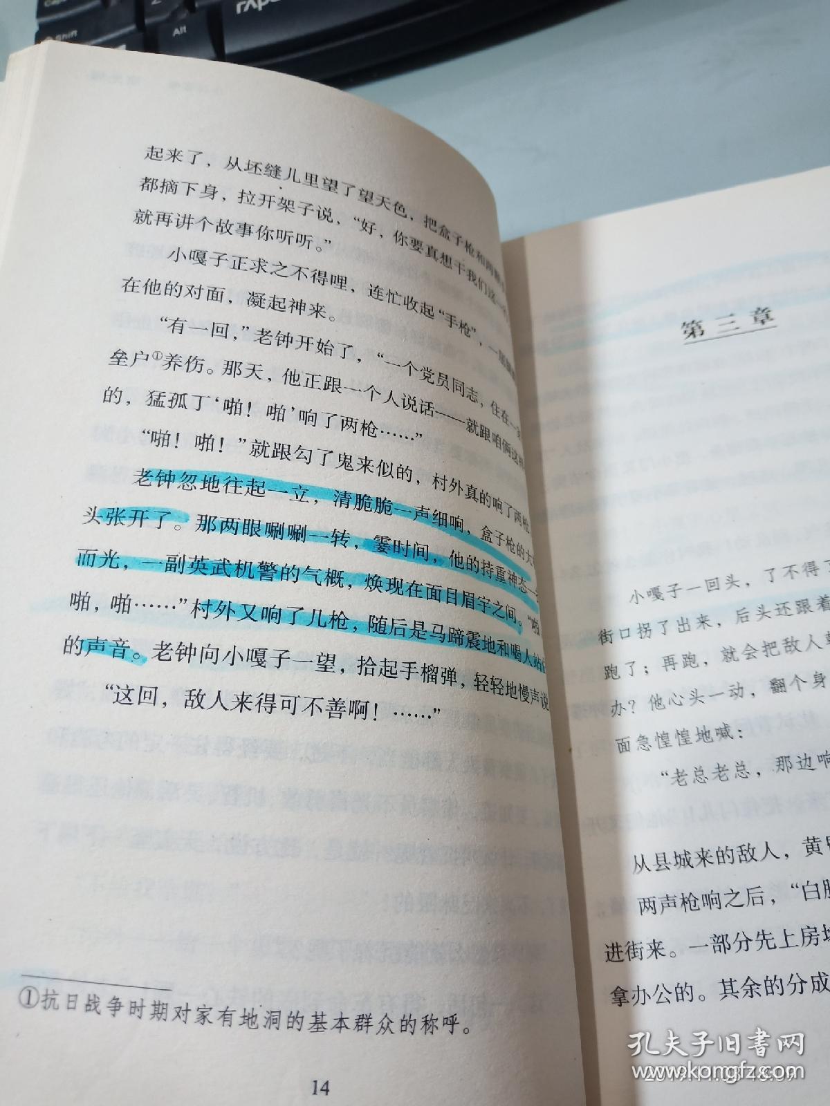 百年百部中国儿童文学经典书系:小兵张嘎