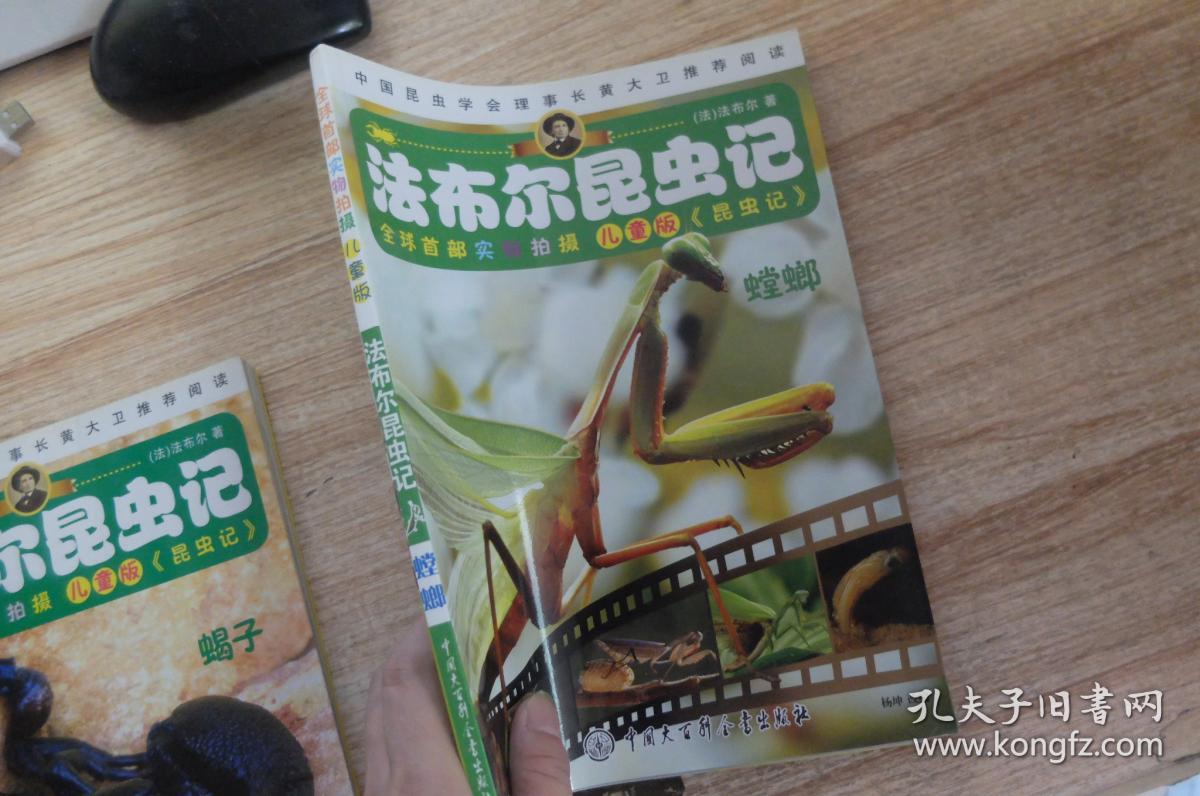 法布尔昆虫记:螳螂(儿童版)