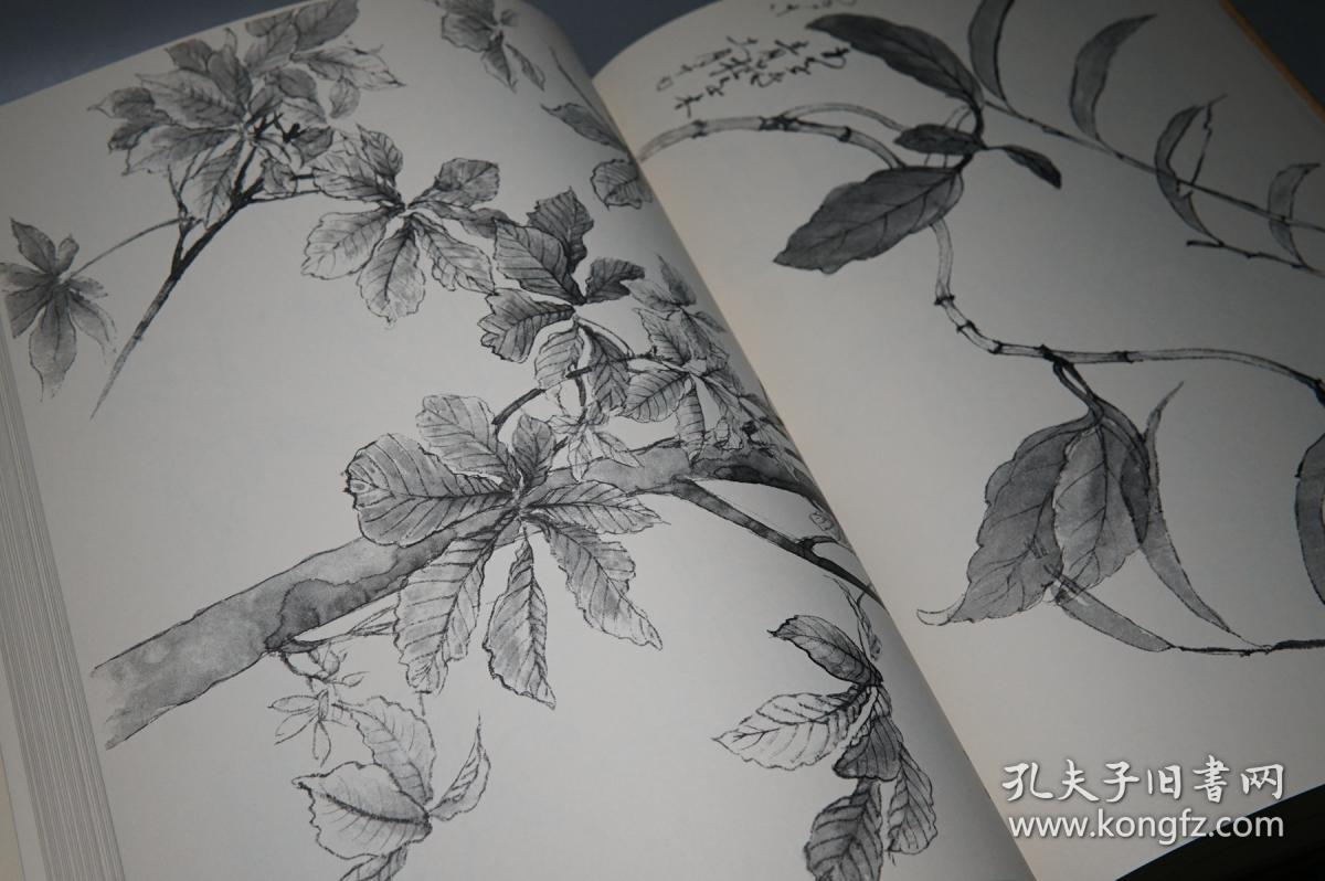 工艺美术史研究文献禅染制绘画技法花鸟花卉植物画册樱花牡丹海棠蔷薇