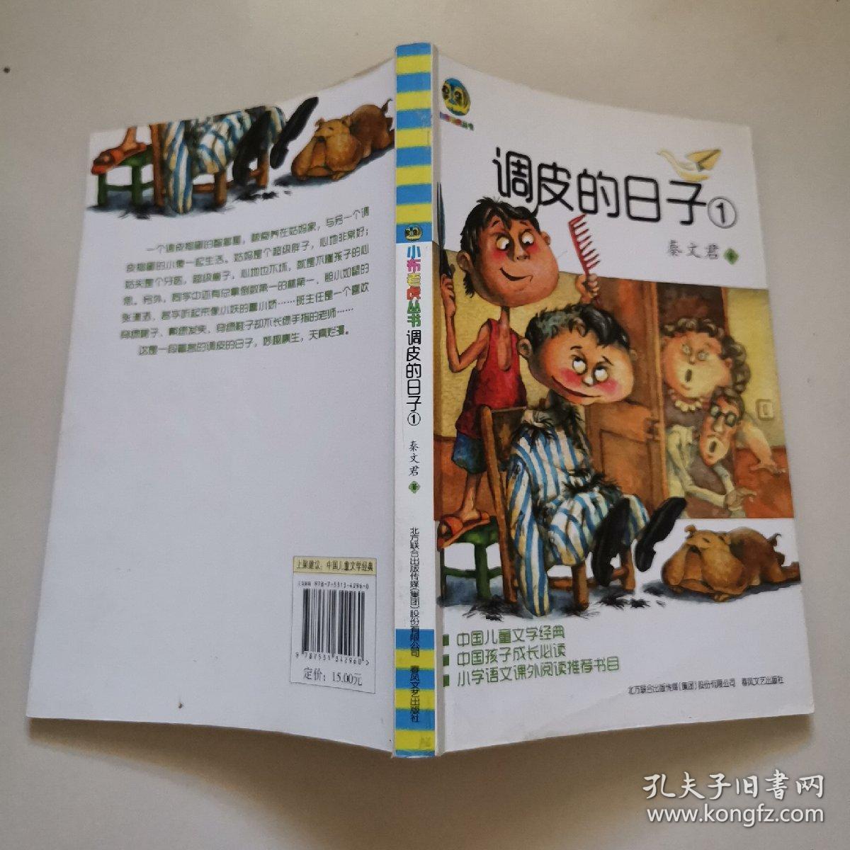 调皮的日子1