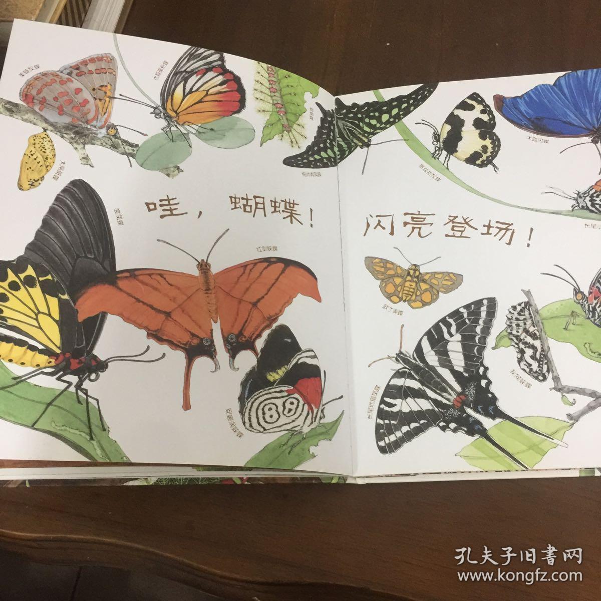 蝴蝶,如此耐心:"美丽成长"科普绘本系列
