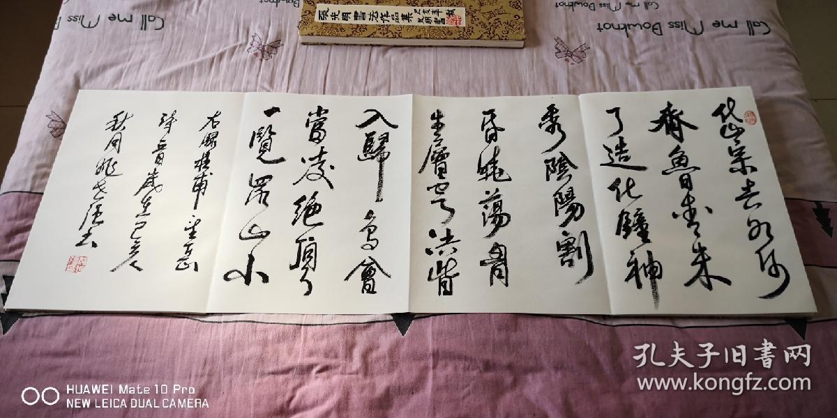 山东省书协理事姚世强老师九米册页_名家书法九米册页
