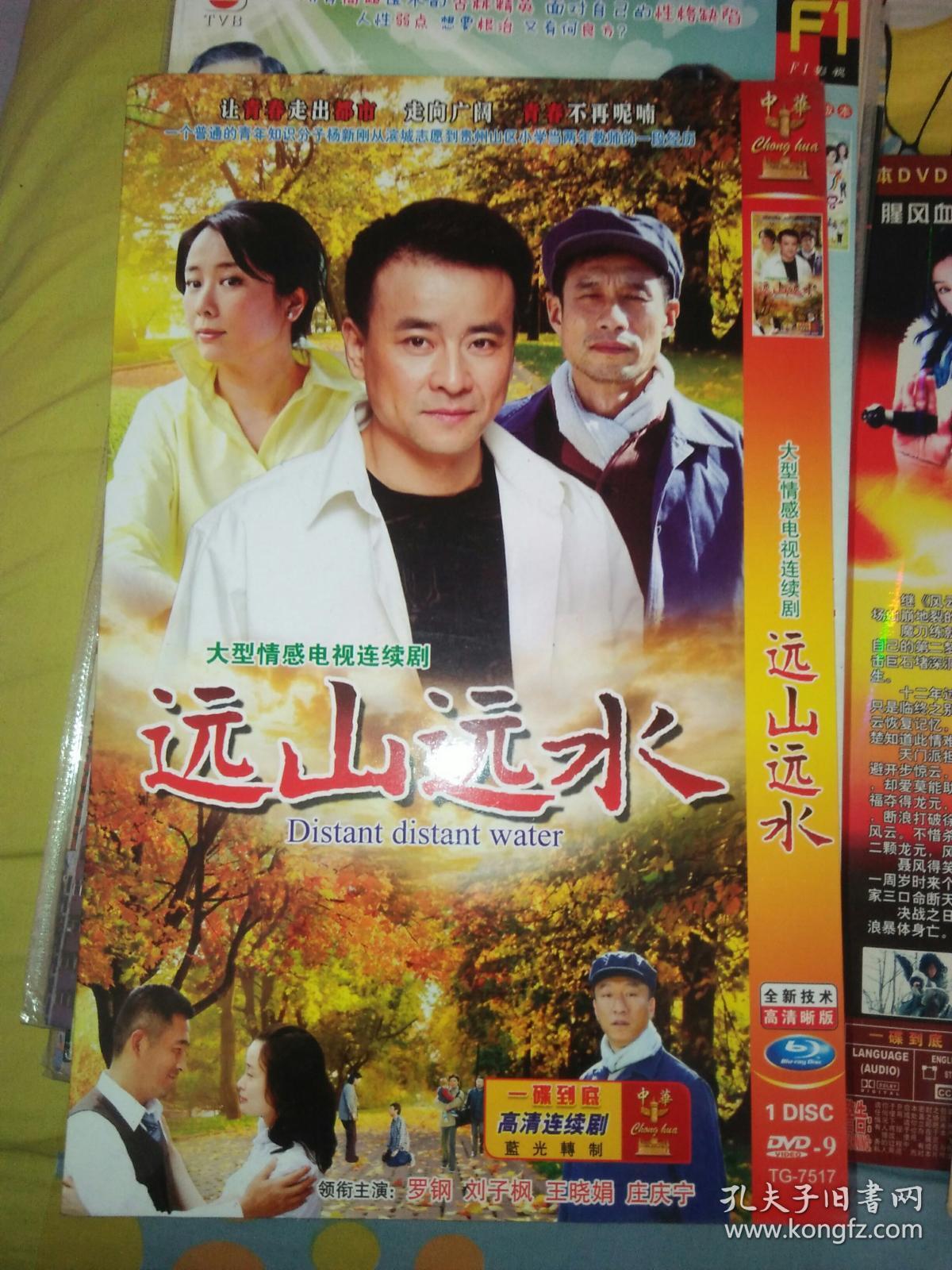 单碟装dvd电视剧一碟 远山远水 罗钢刘子枫王晓娟庄庆宁