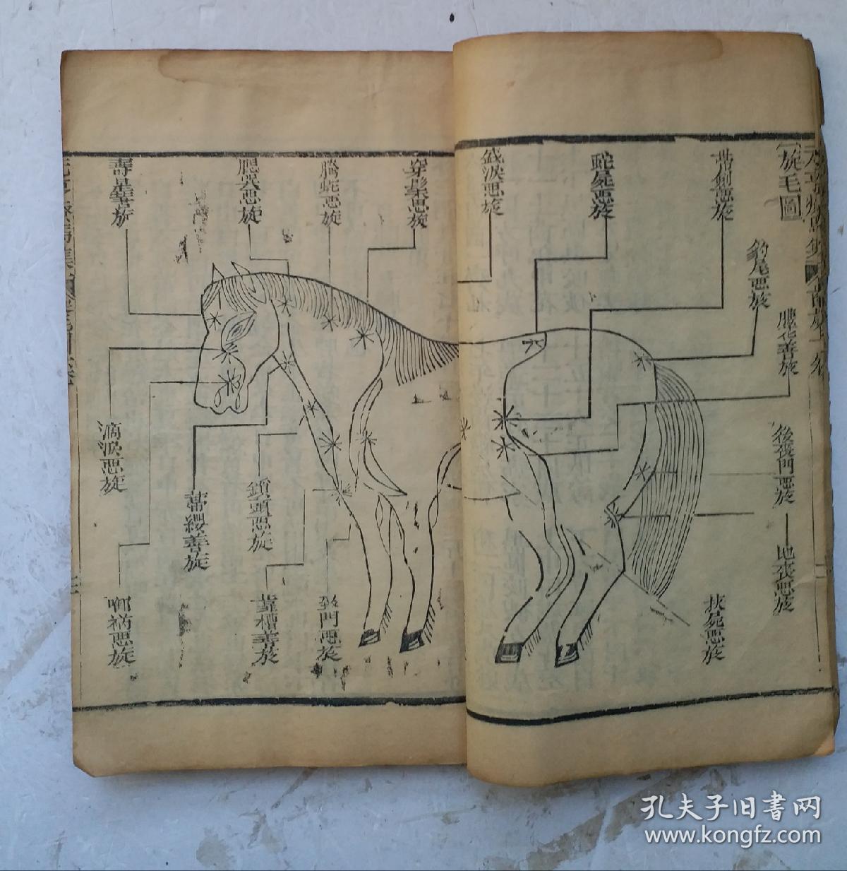 牛马驼经序:红字套印刻本,纂图元亨疗马集,84幅精美各态马病穴位图