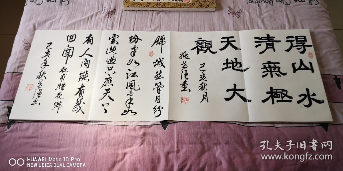 山东省书协理事姚世强老师九米册页_名家书法九米册页长卷_孔夫子旧书