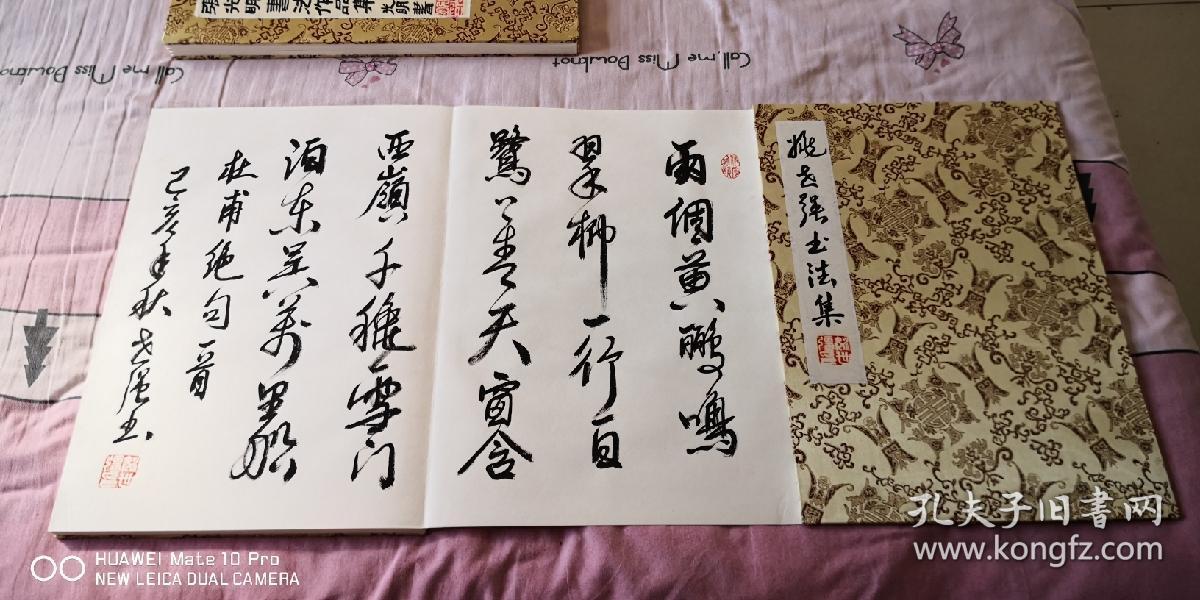山东省书协理事姚世强老师九米册页_名家书法九米册页长卷_孔夫子旧书