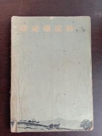 夜走骆驼岭