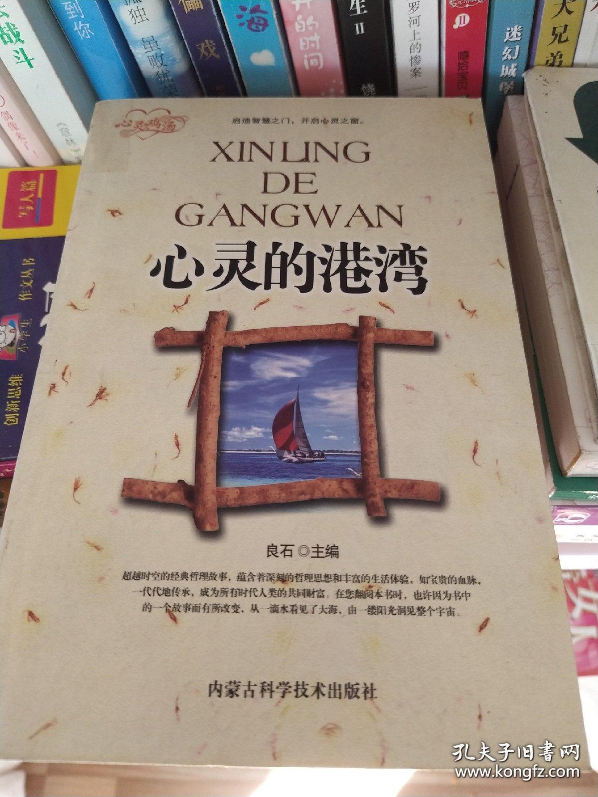 心灵的港湾:父母与孩子共享的心灵鸡汤